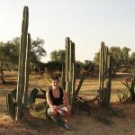 -Teothiuacan - Fra i cactus
